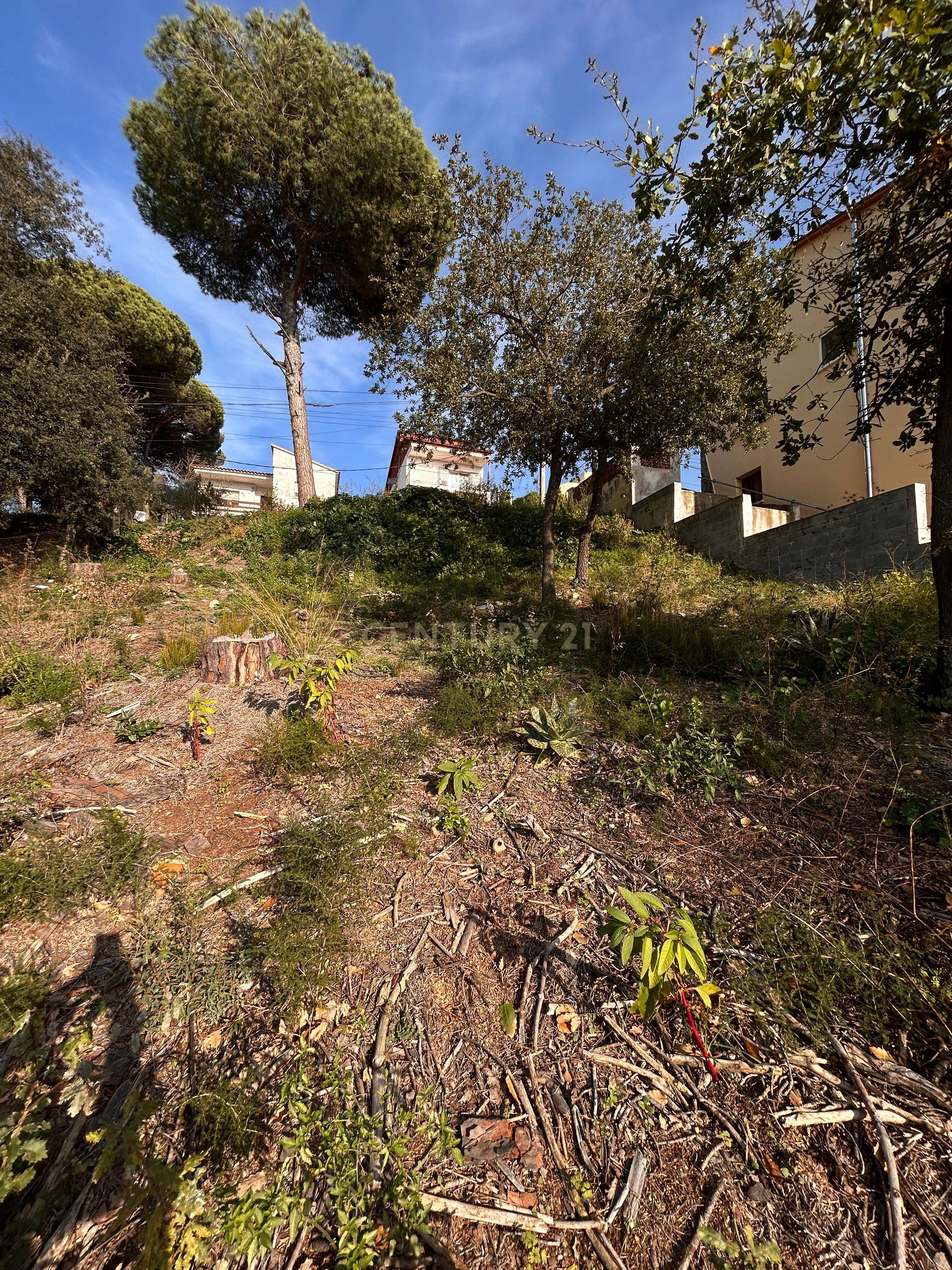 Terreno - Image 27