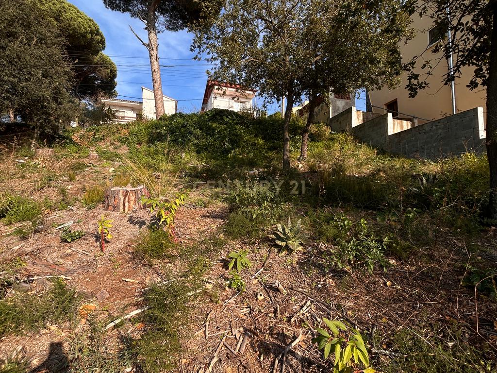 Terreno - Image 27