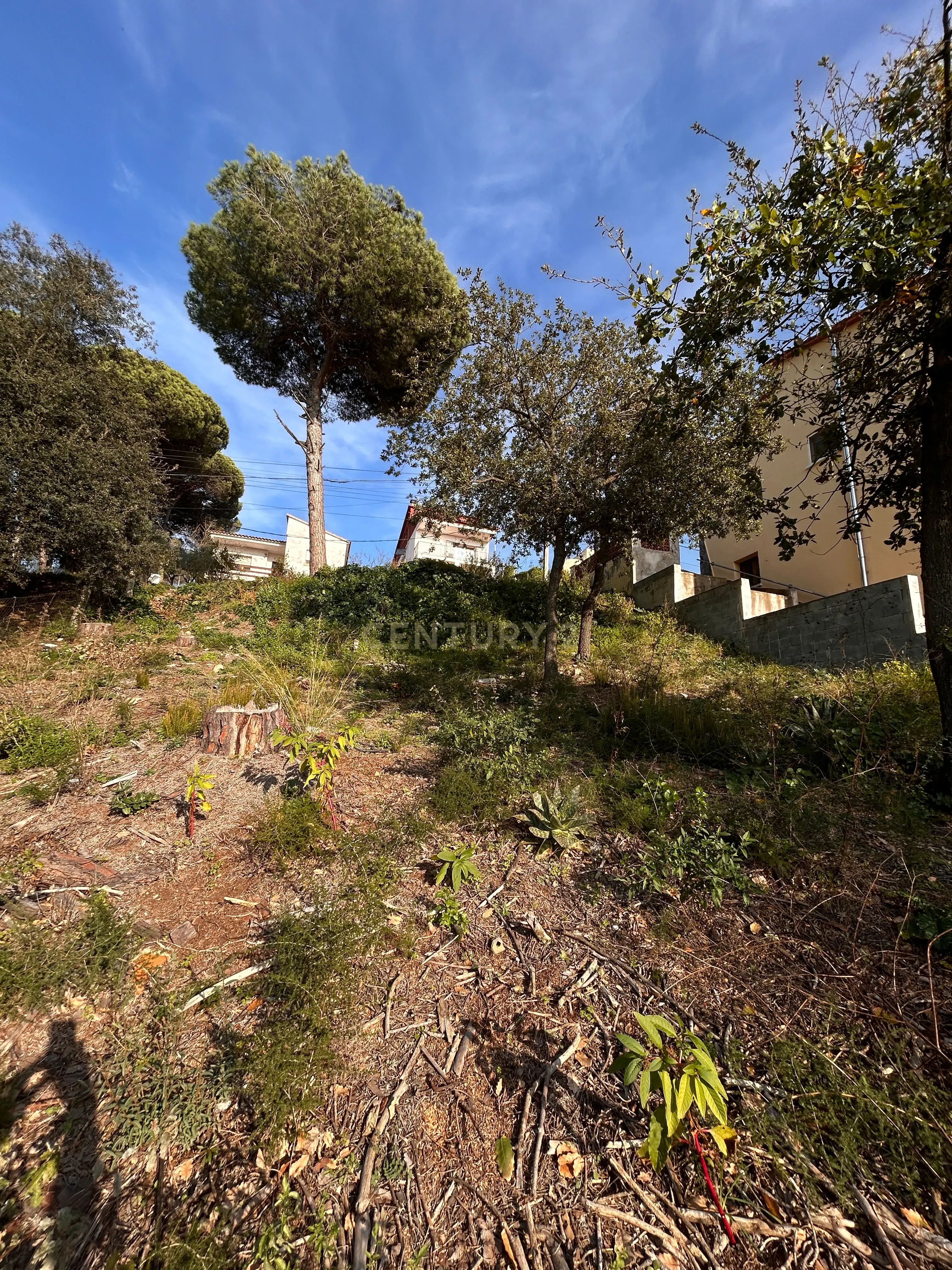 Terreno - Image 20
