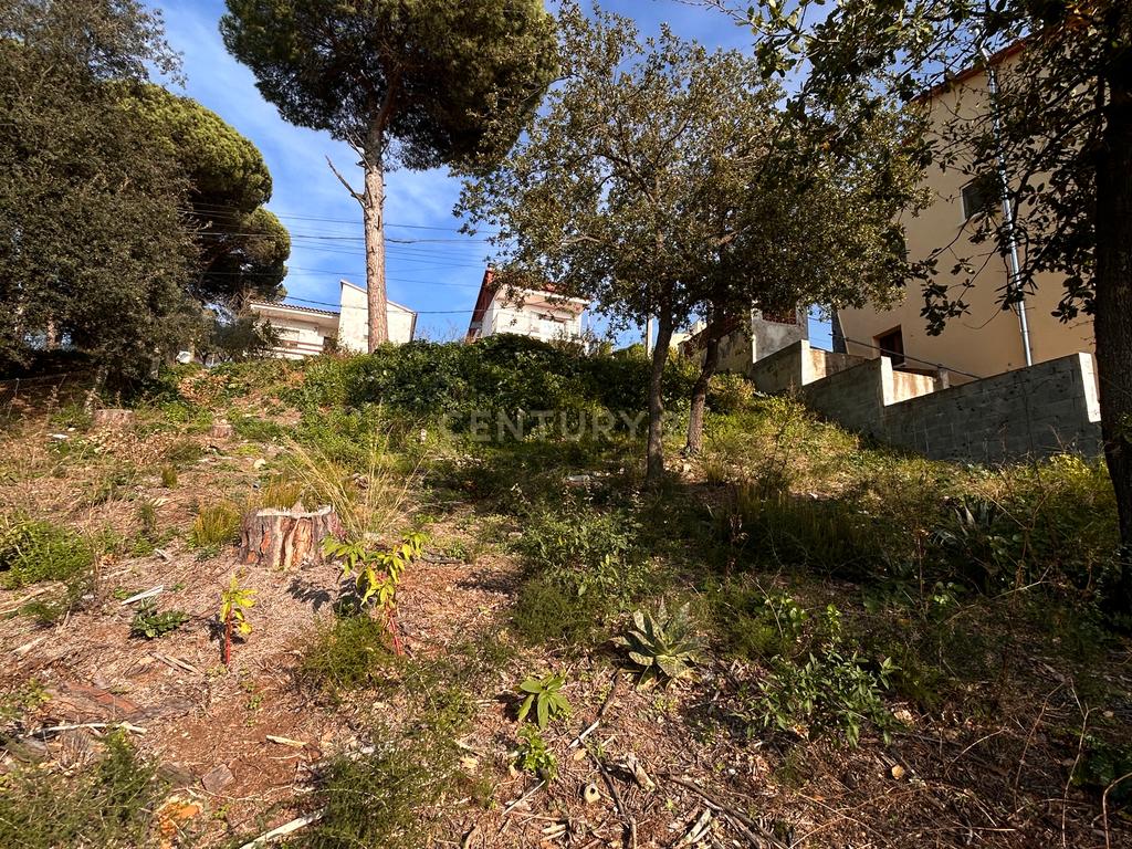 Terreno - Image 20