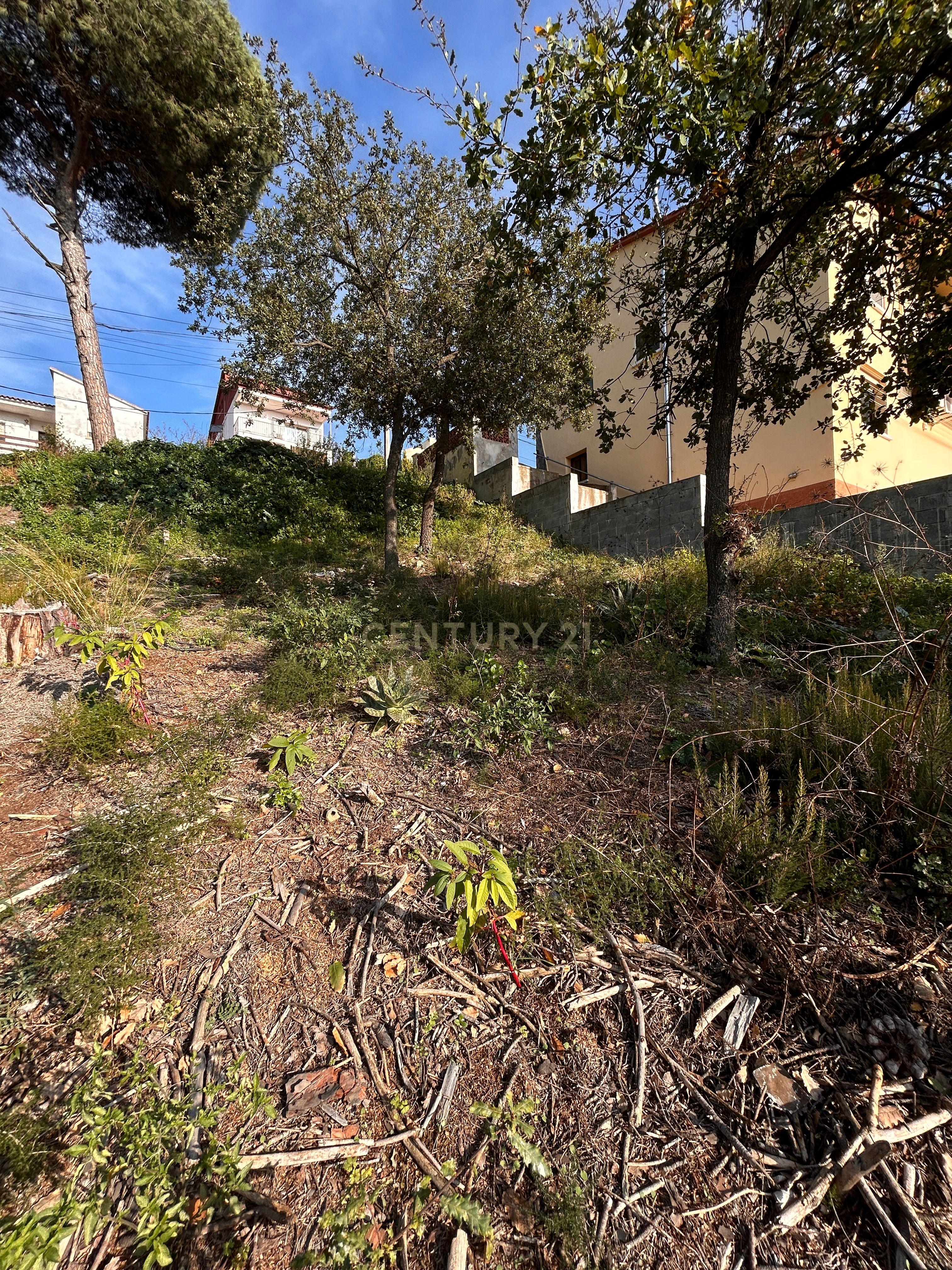 Terreno - Image 21