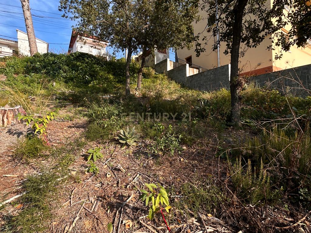 Terreno - Image 21