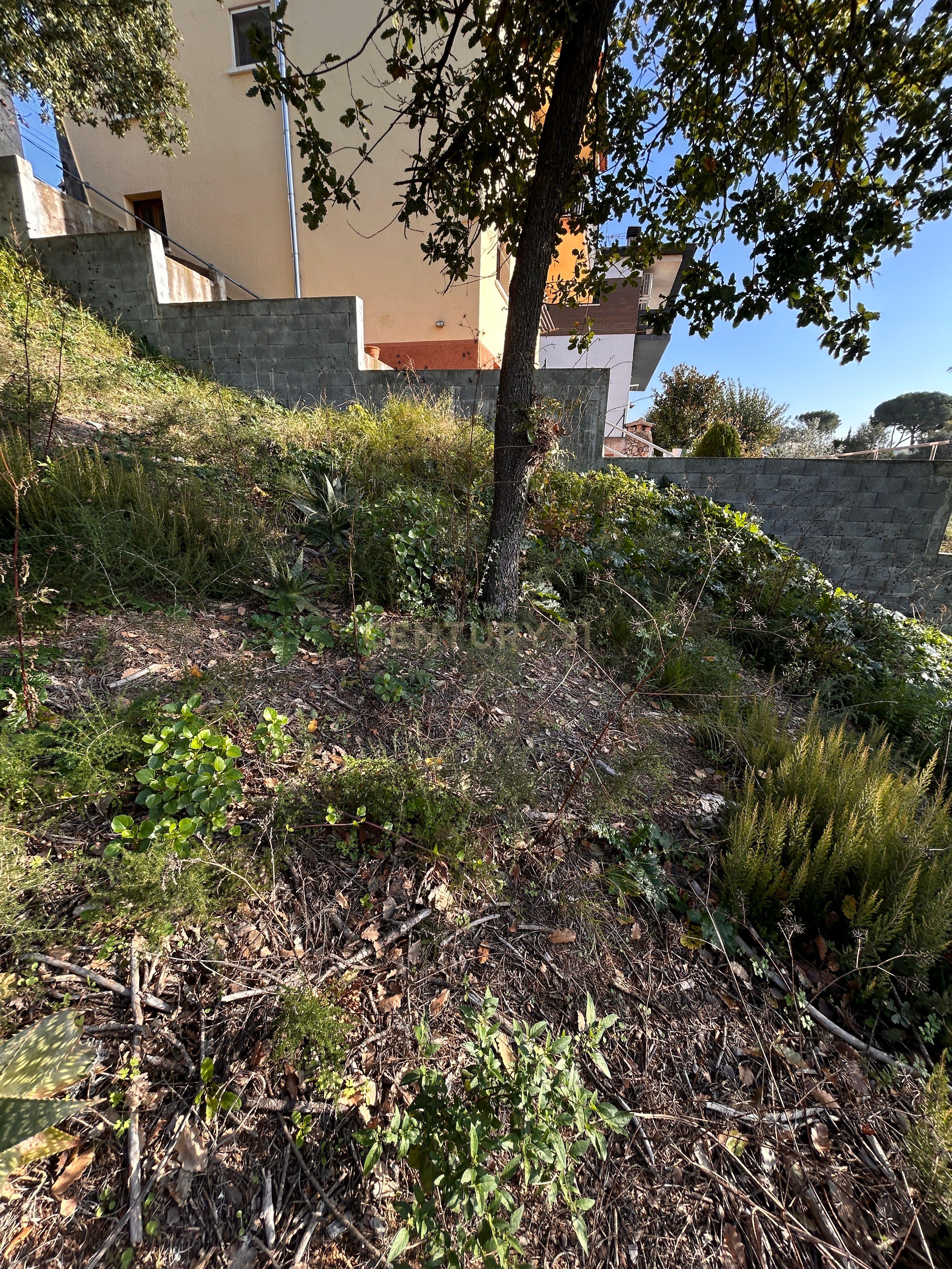 Terreno - Image 22