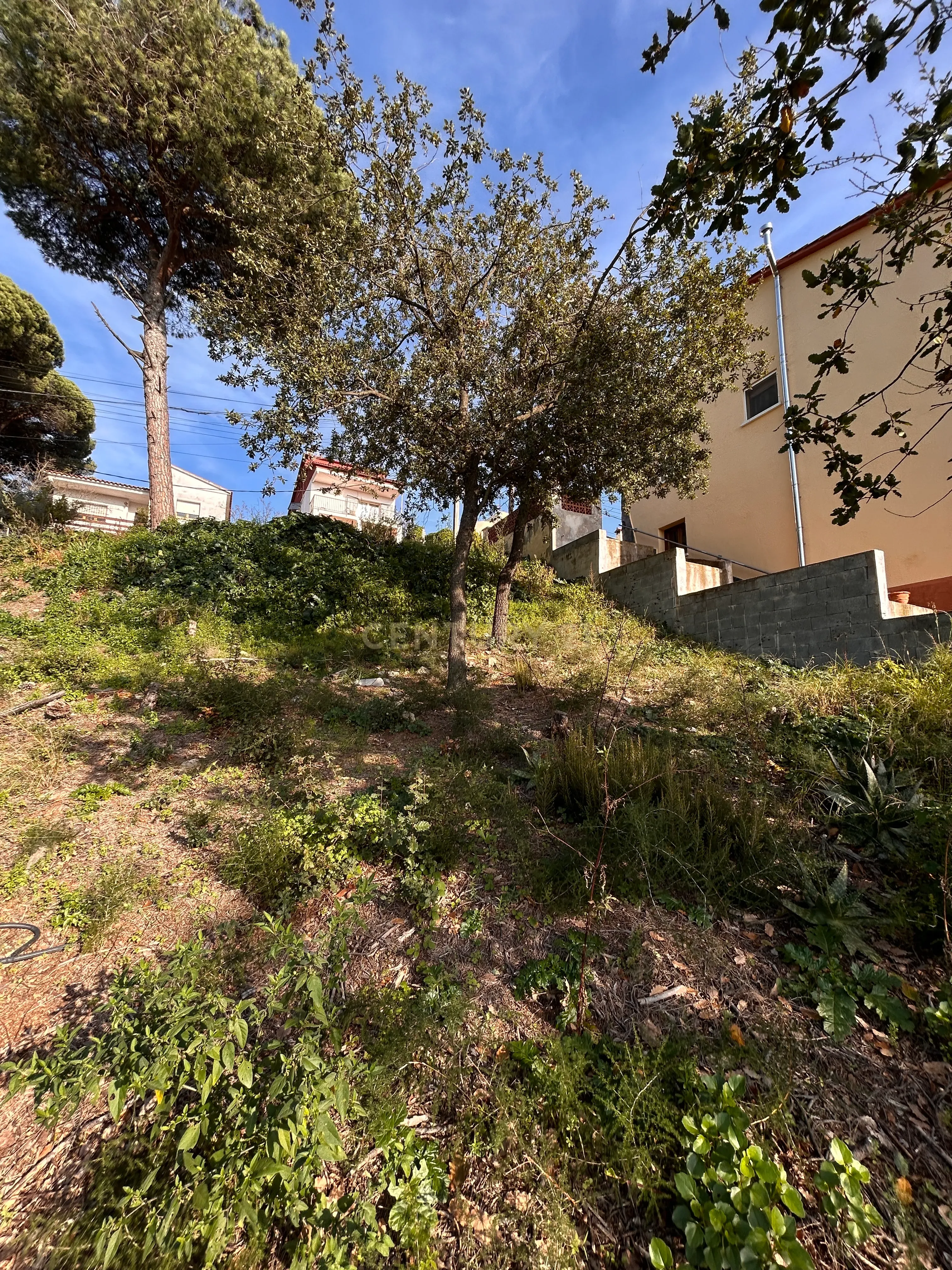 Terreno - Image 23