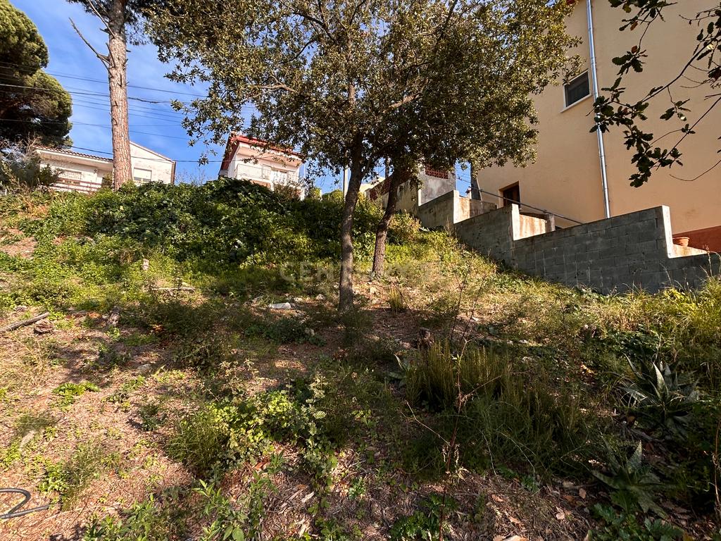 Terreno - Image 23