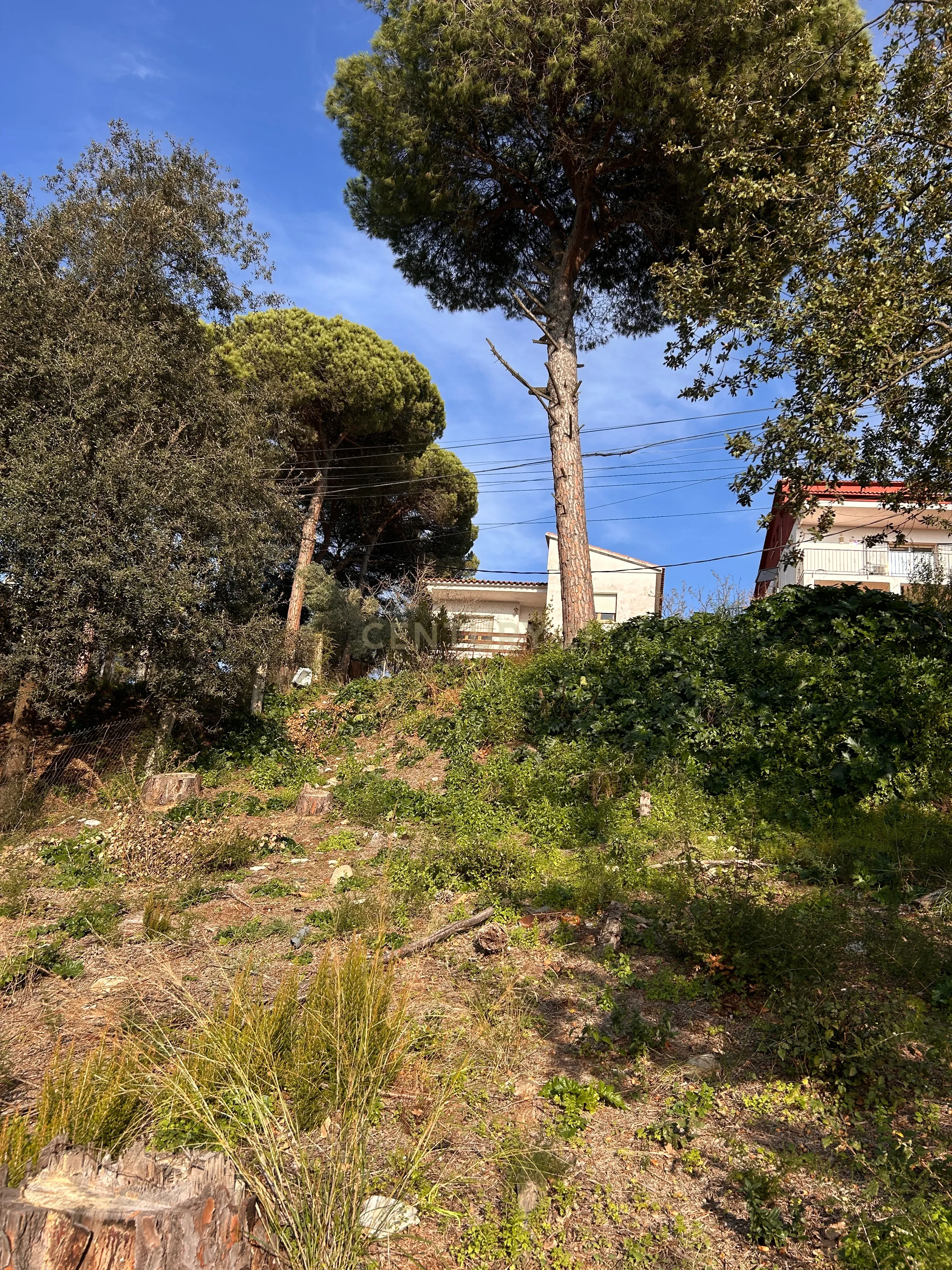 Terreno - Image 24