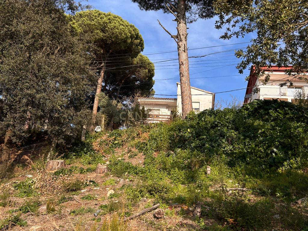 Terreno - Image 24