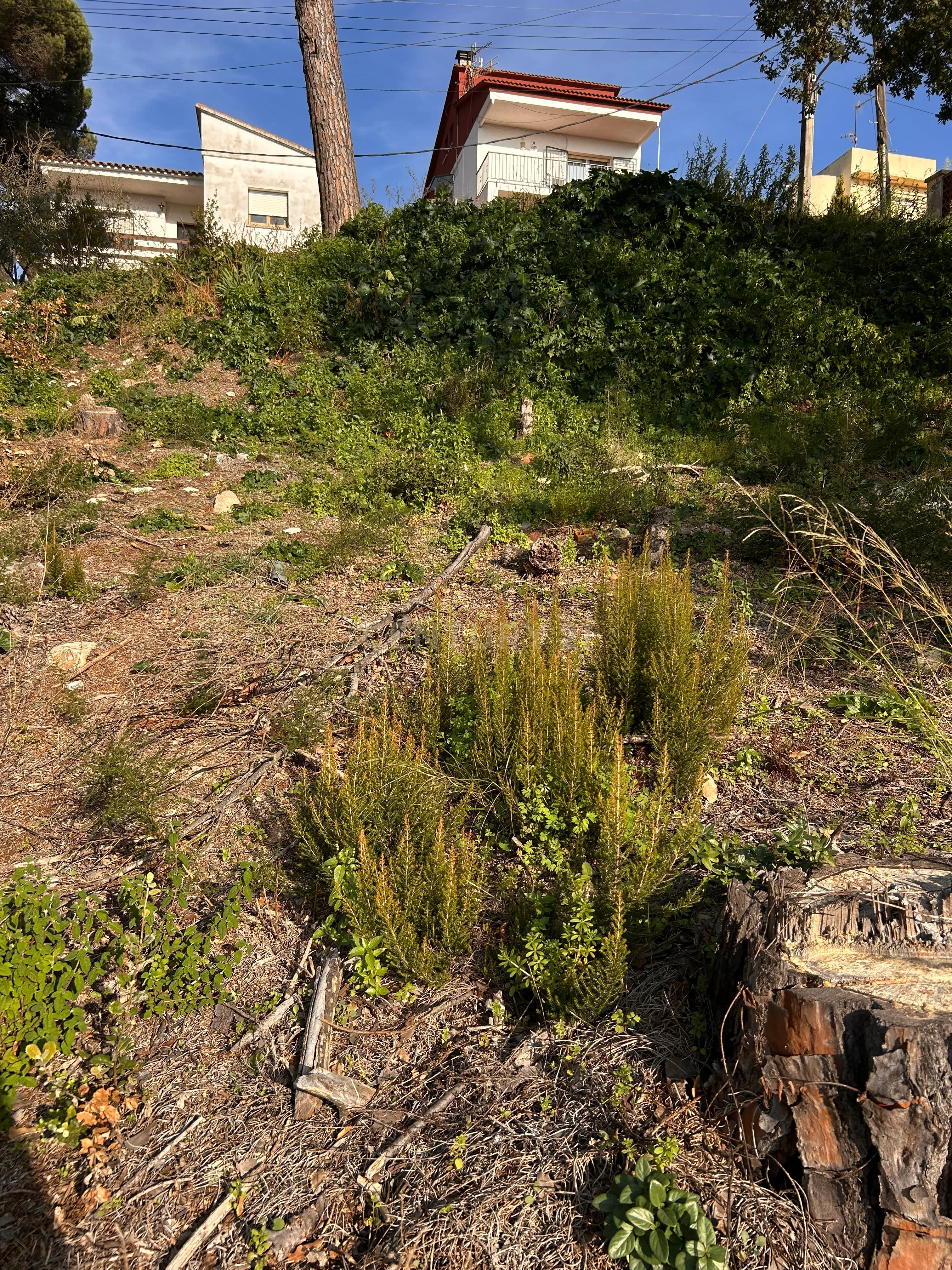 Terreno - Image 25