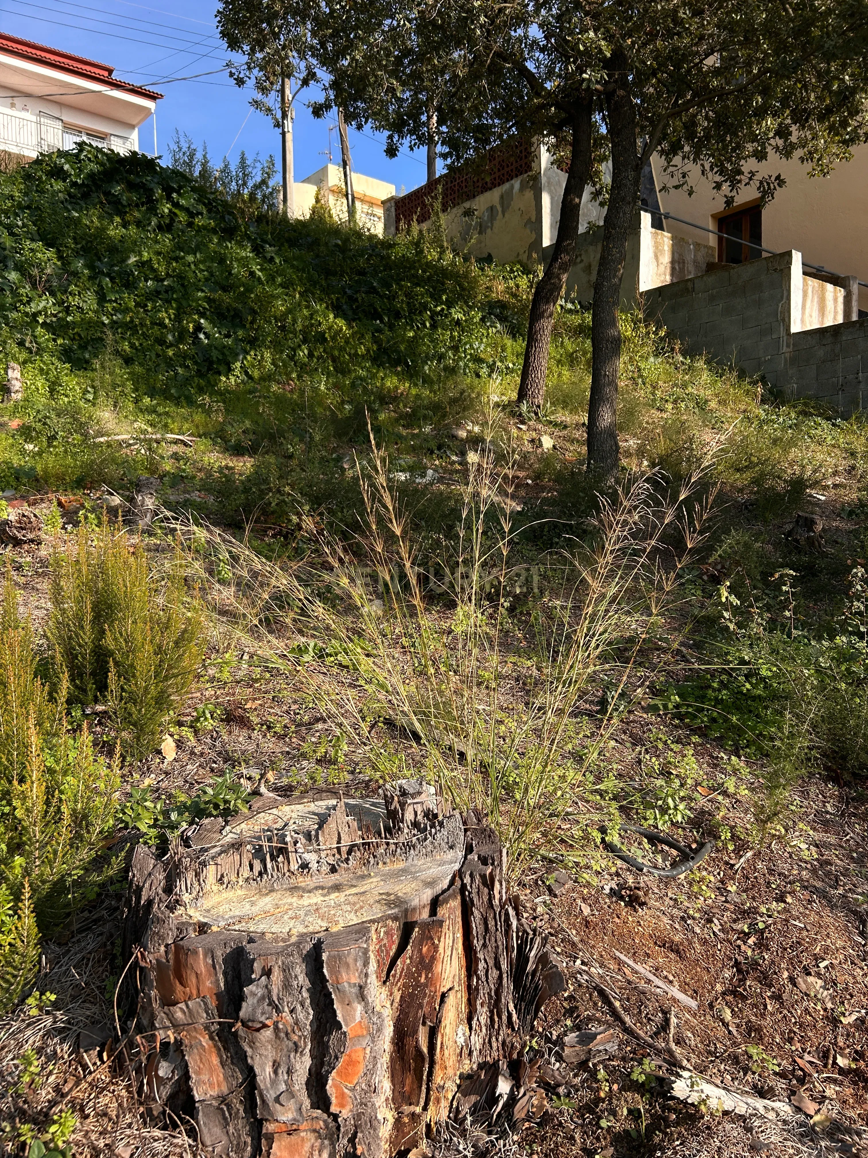 Terreno - Image 26