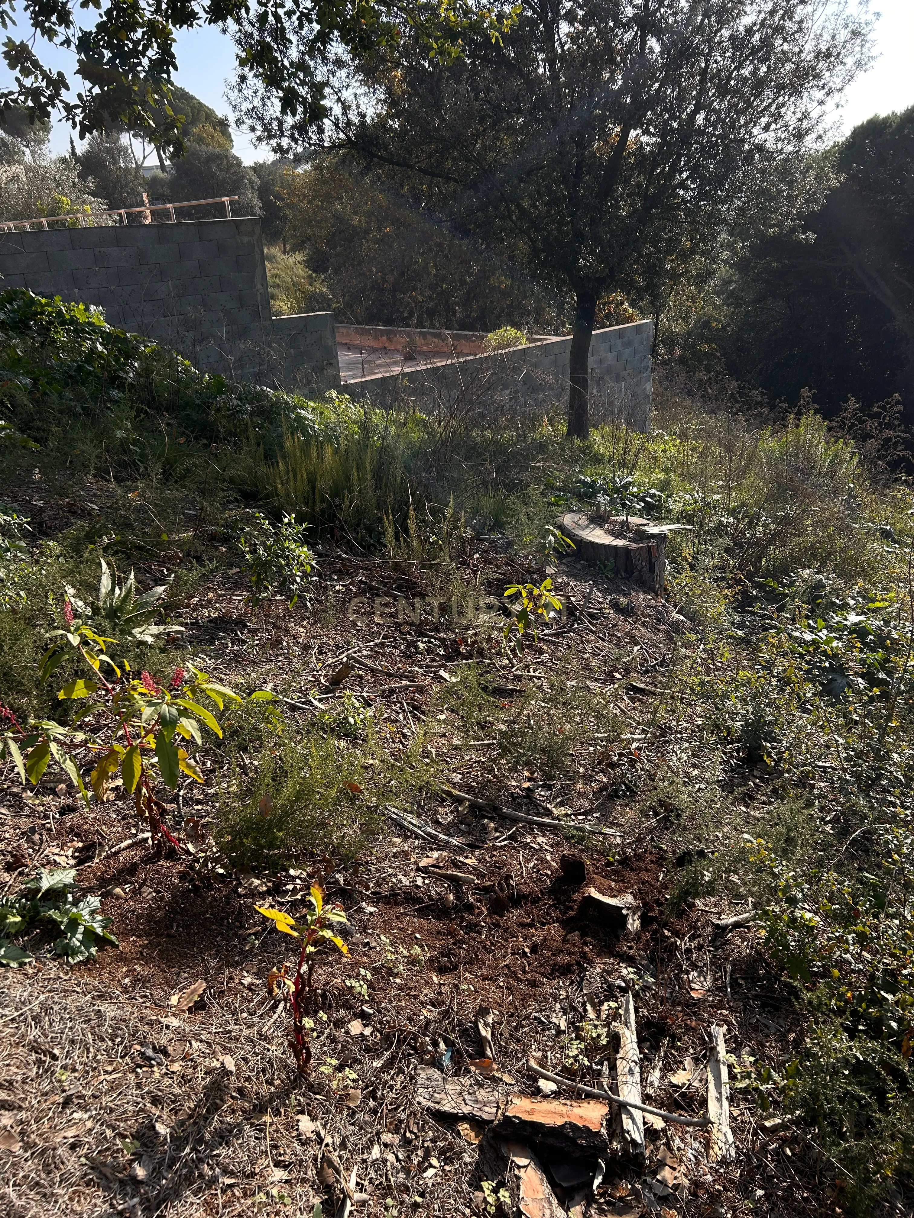 Terreno - Image 30