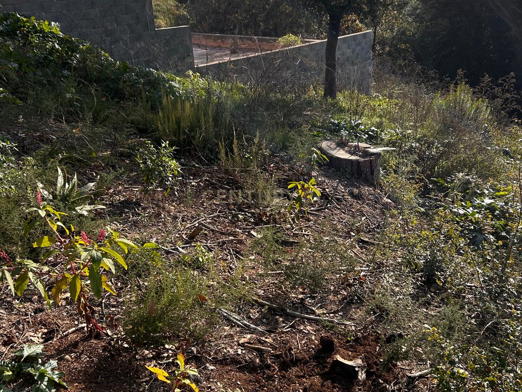 Terreno - Image 30