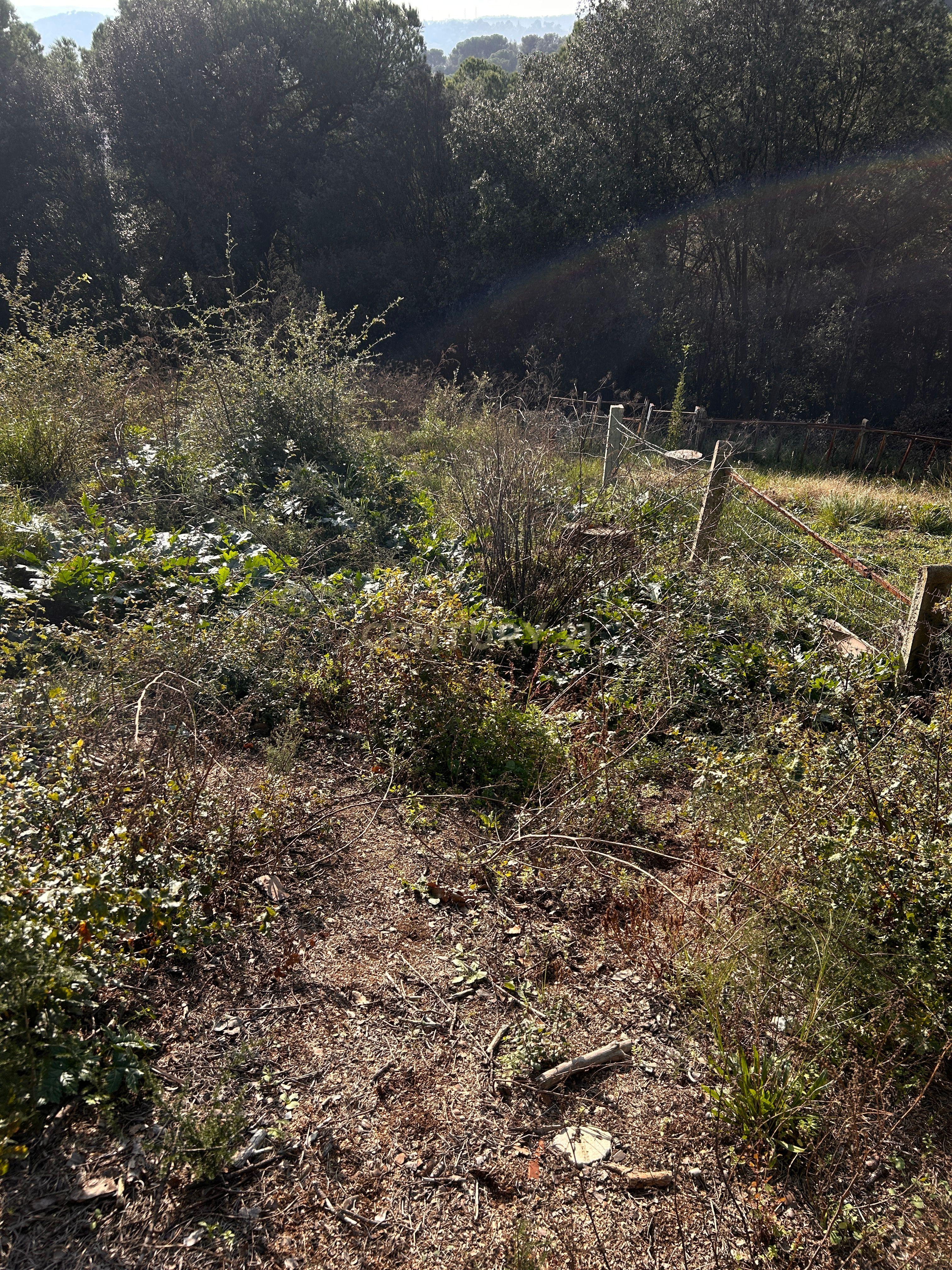 Terreno - Image 32