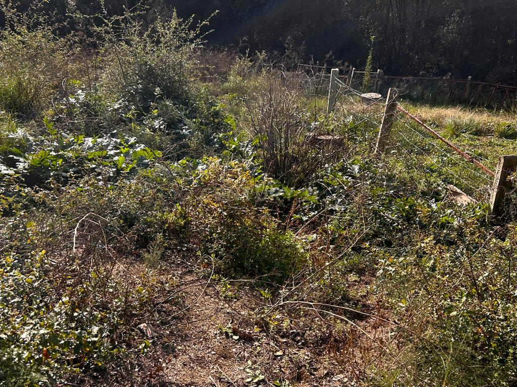 Terreno - Image 32