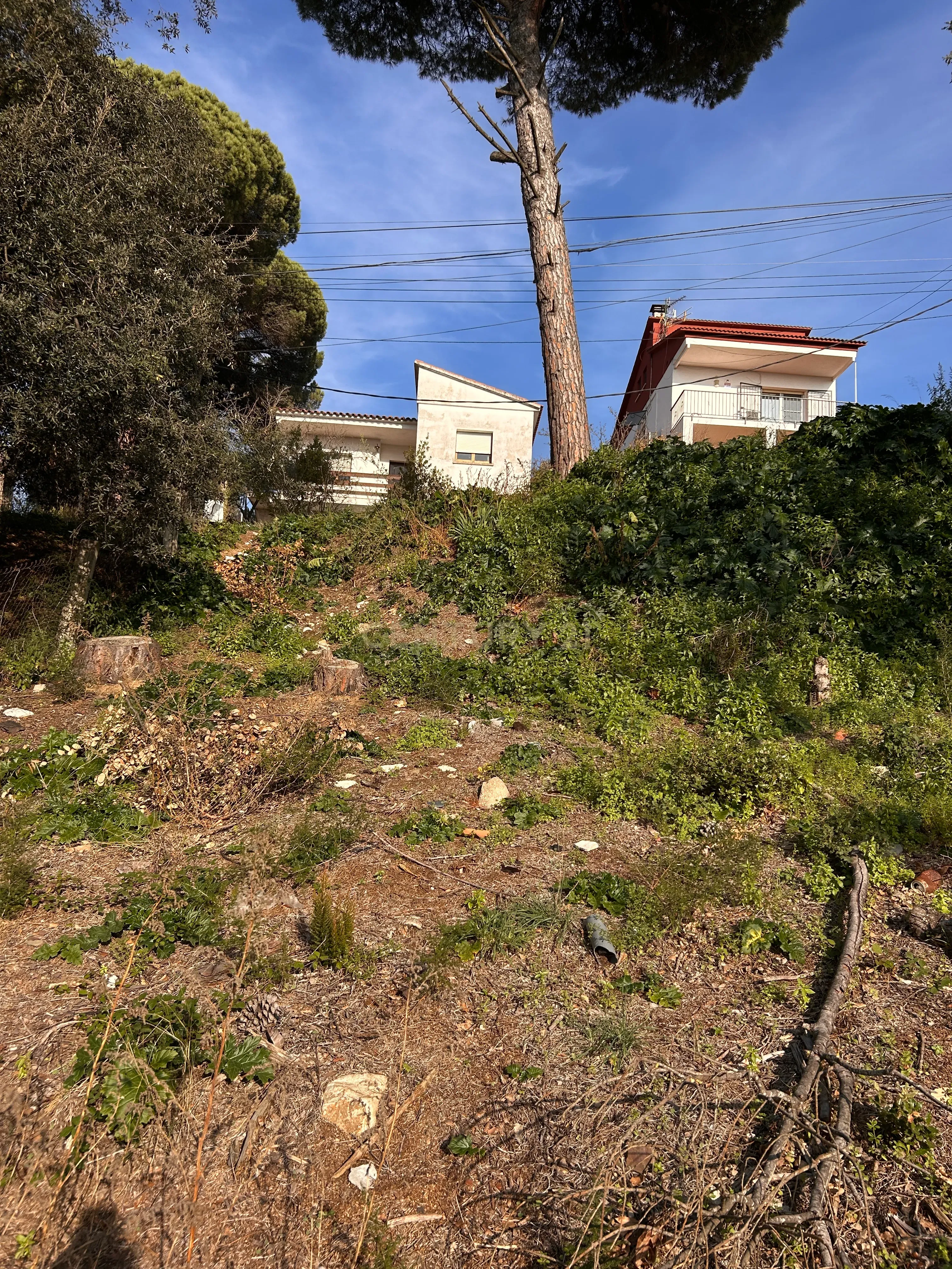 Terreno - Image 29