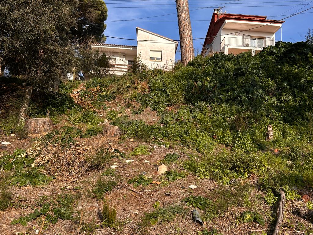 Terreno - Image 29