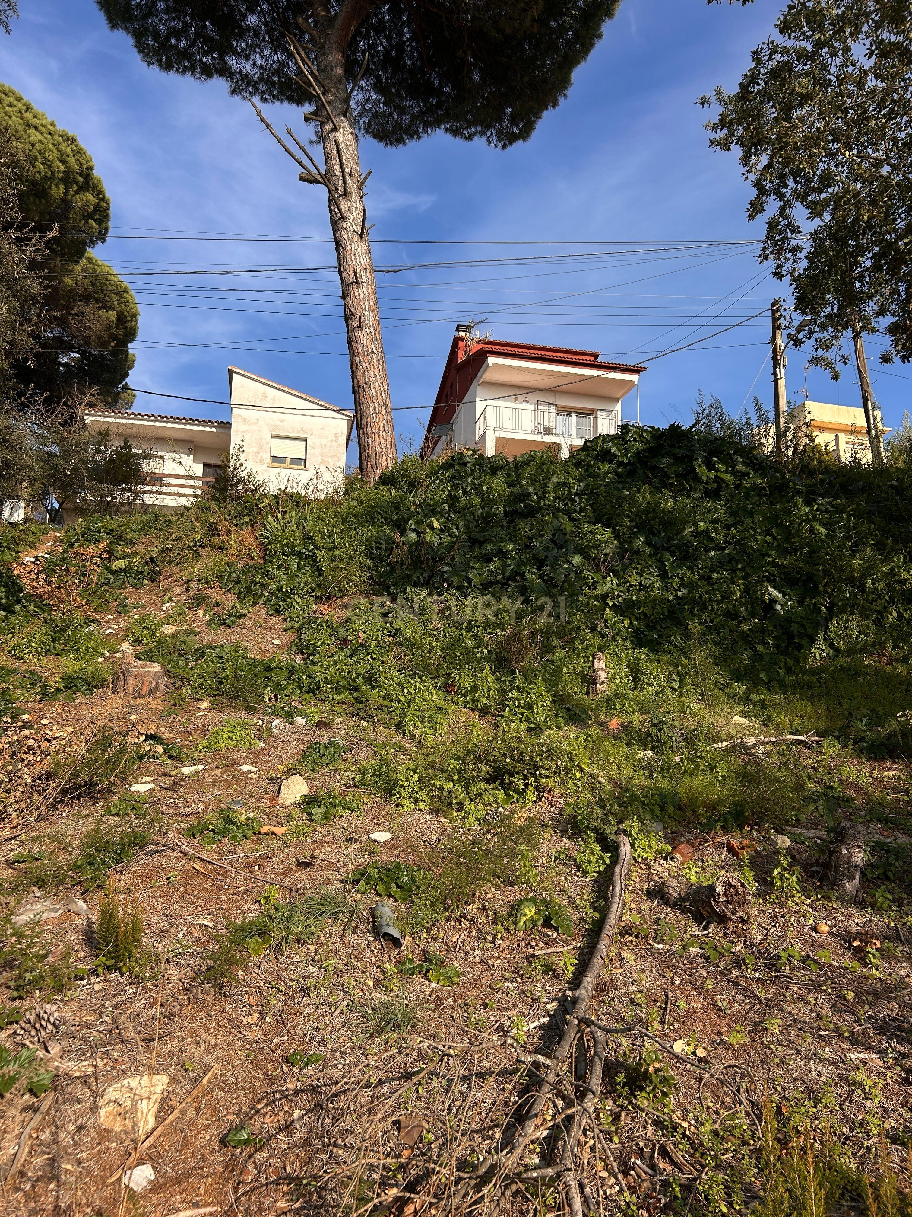 Terreno - Image 34