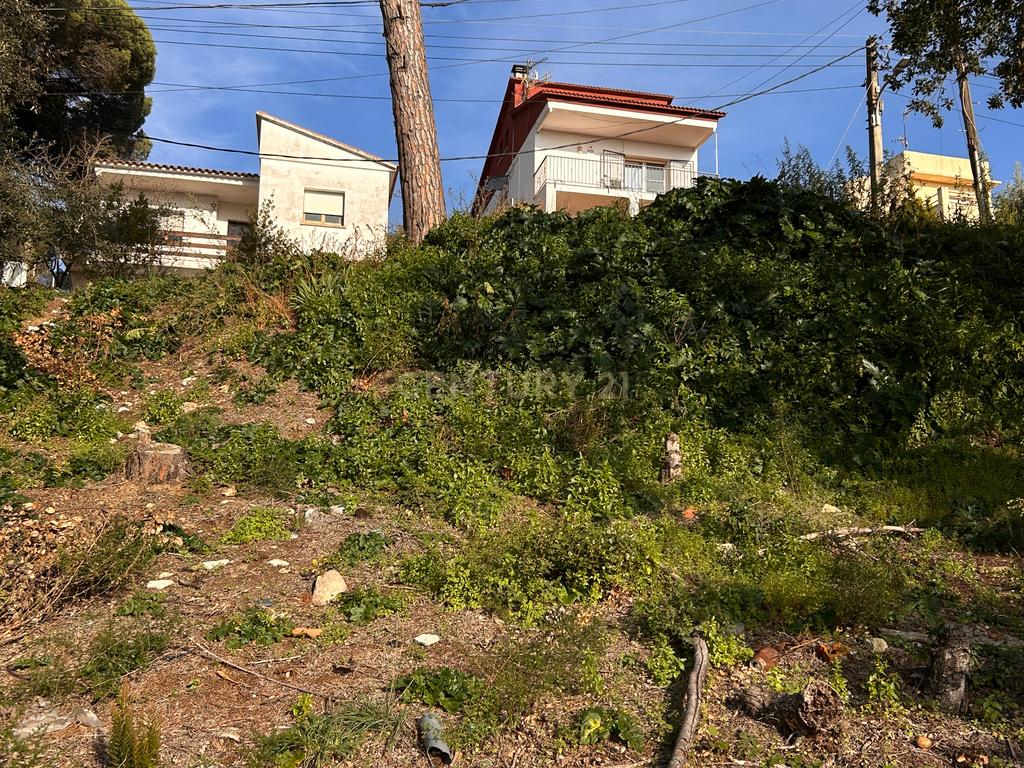 Terreno - Image 34
