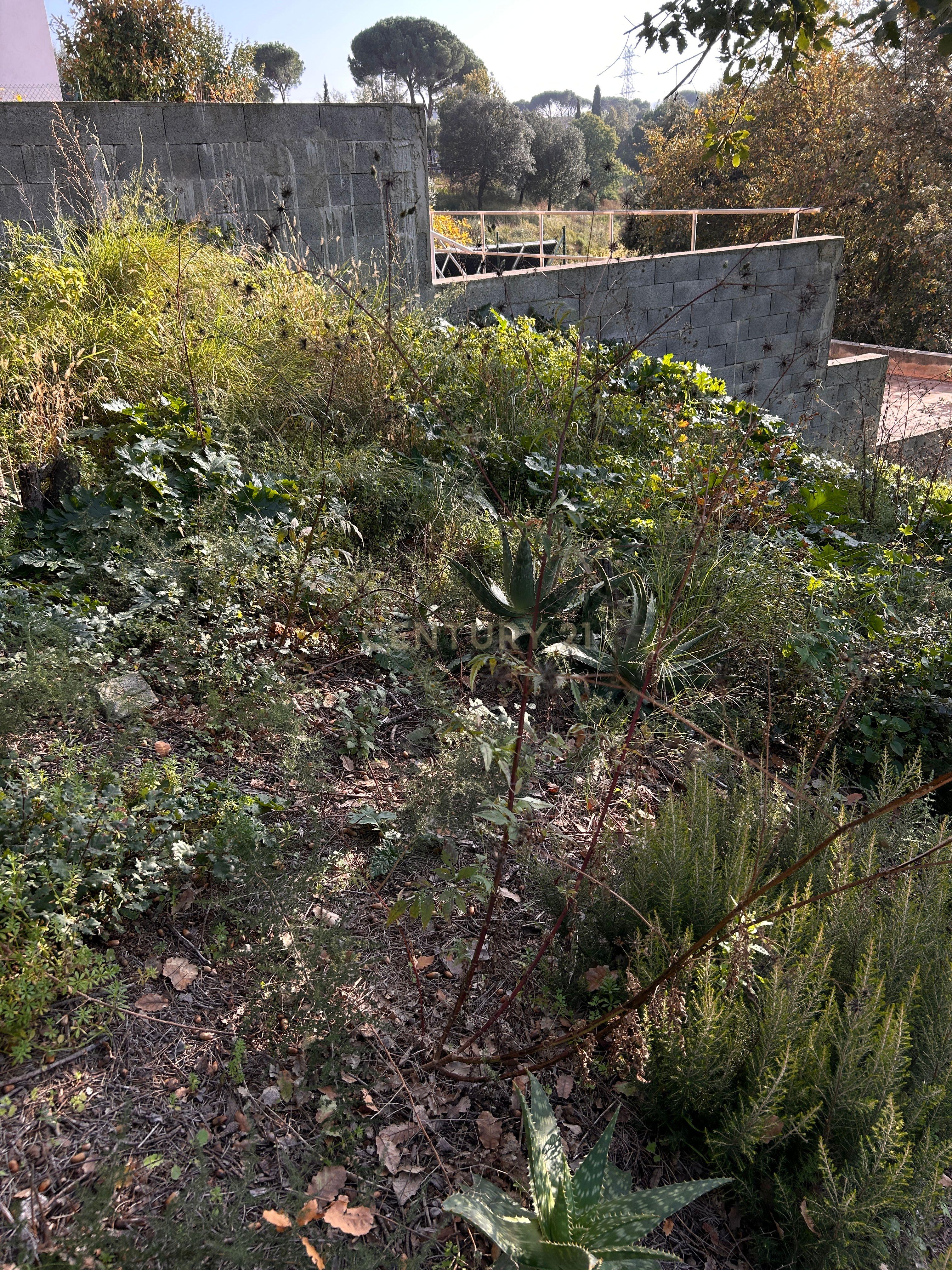 Terreno - Image 37