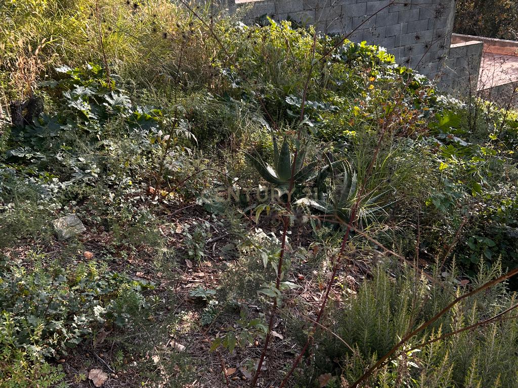 Terreno - Image 37