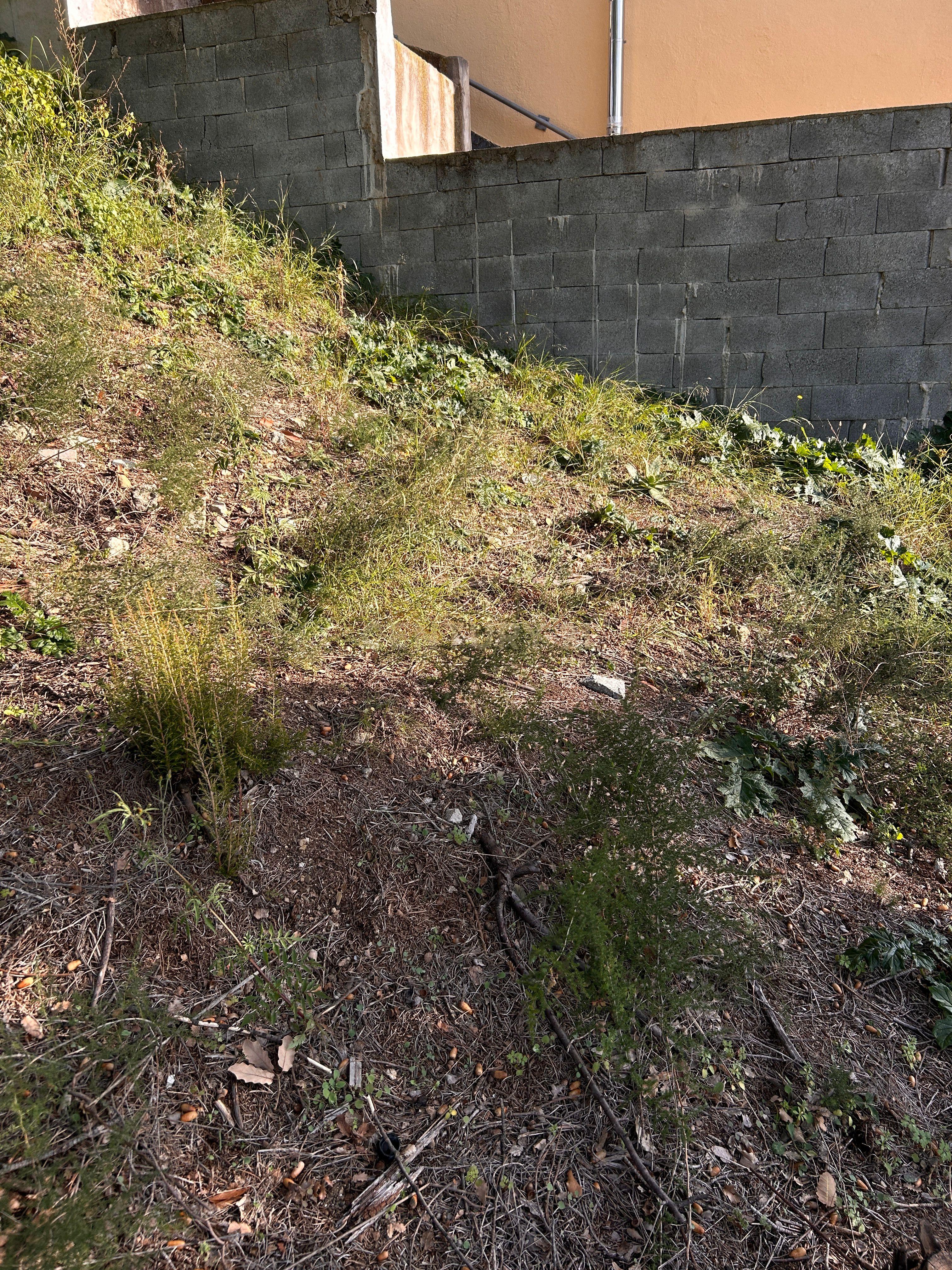 Terreno - Image 33