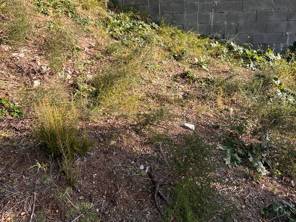 Terreno - Image 33