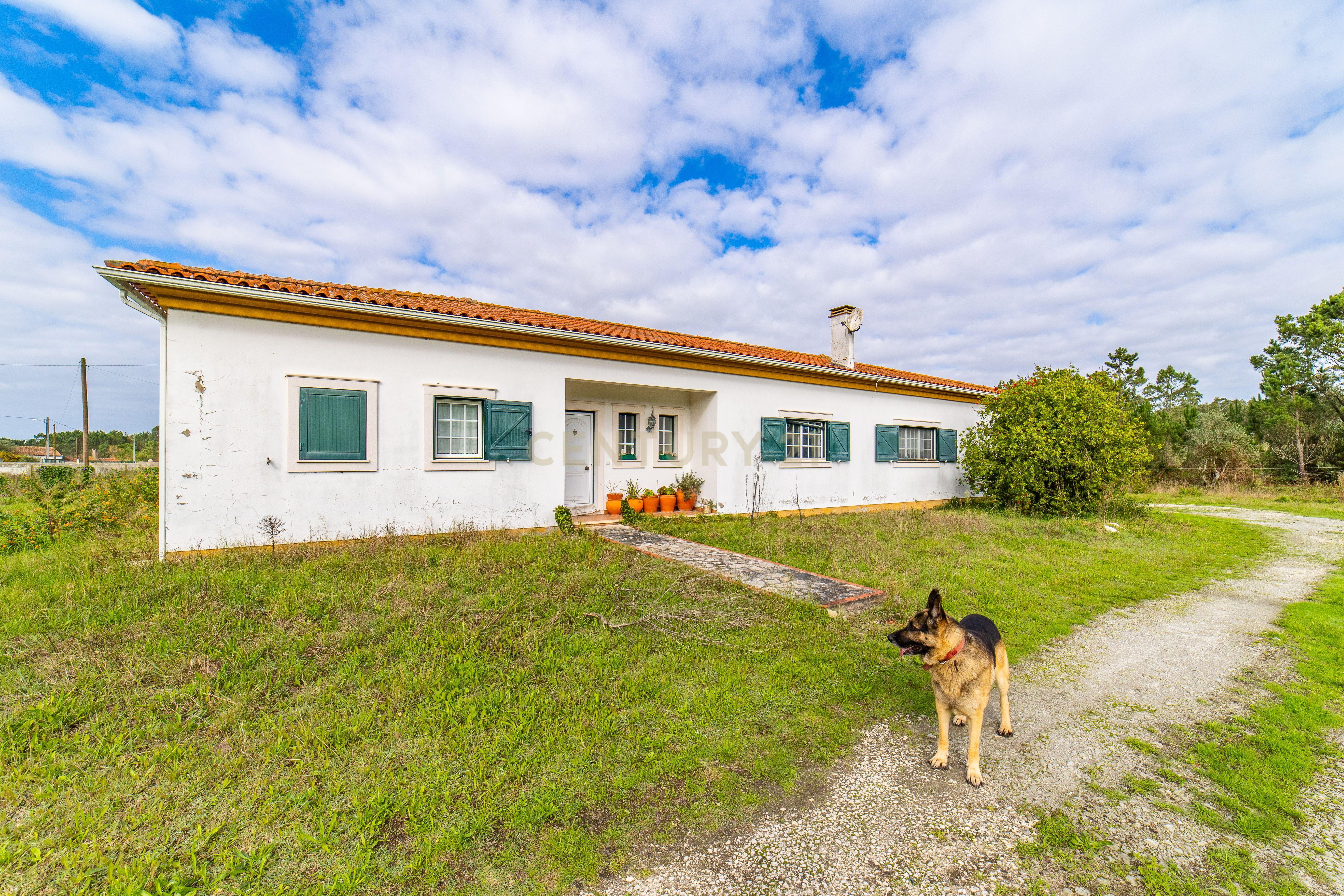 Moradia T3 para venda na vila da Tocha - Image 3