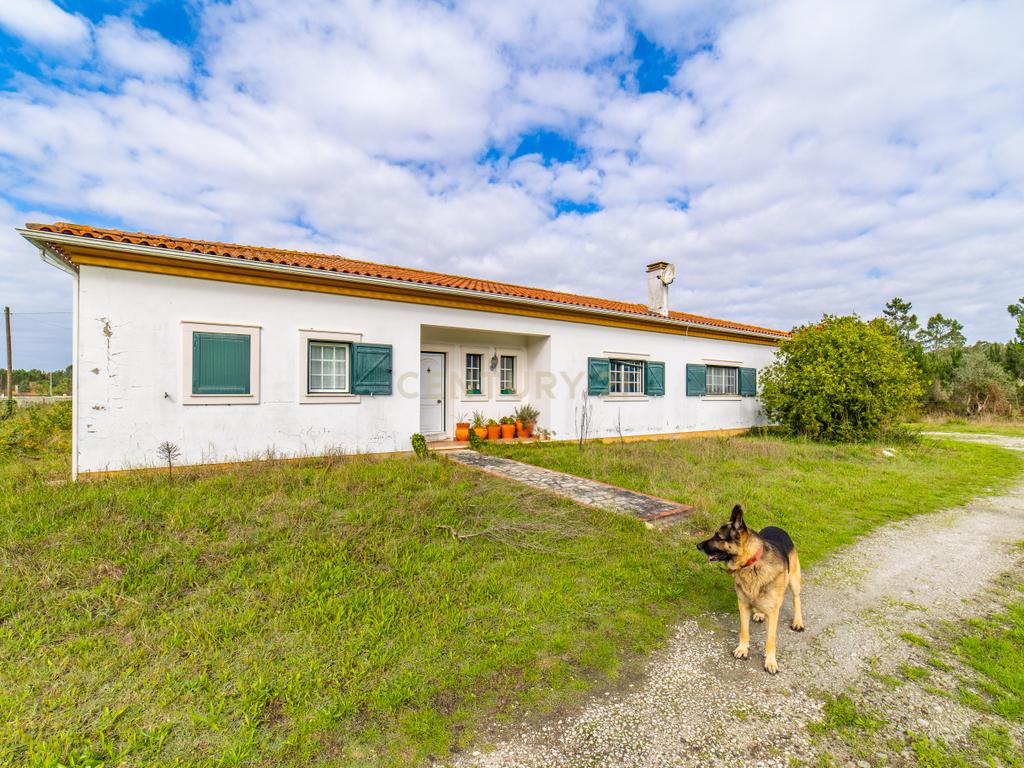 Moradia T3 para venda na vila da Tocha - Image 3