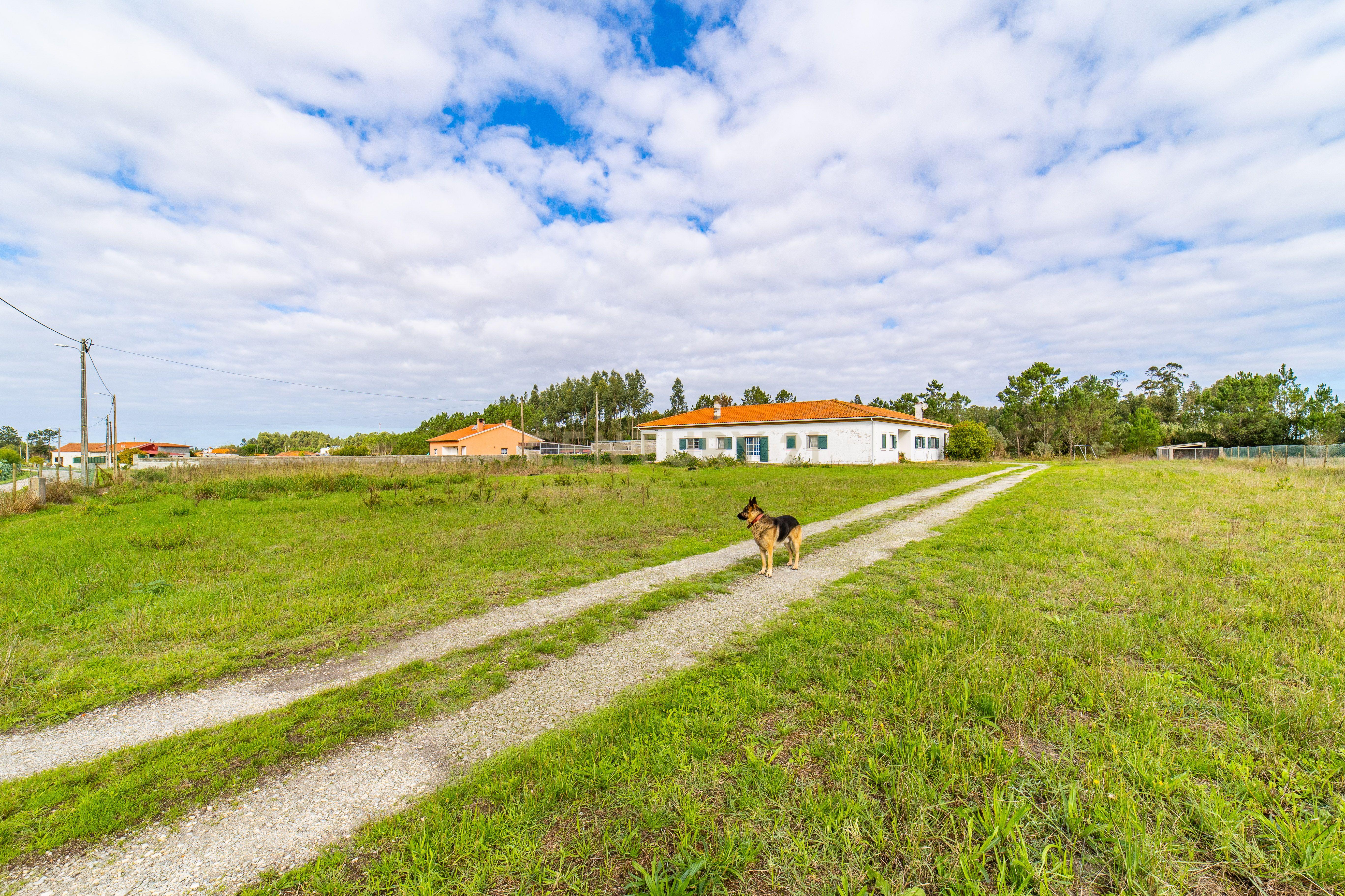 Moradia T3 para venda na vila da Tocha - Image 4