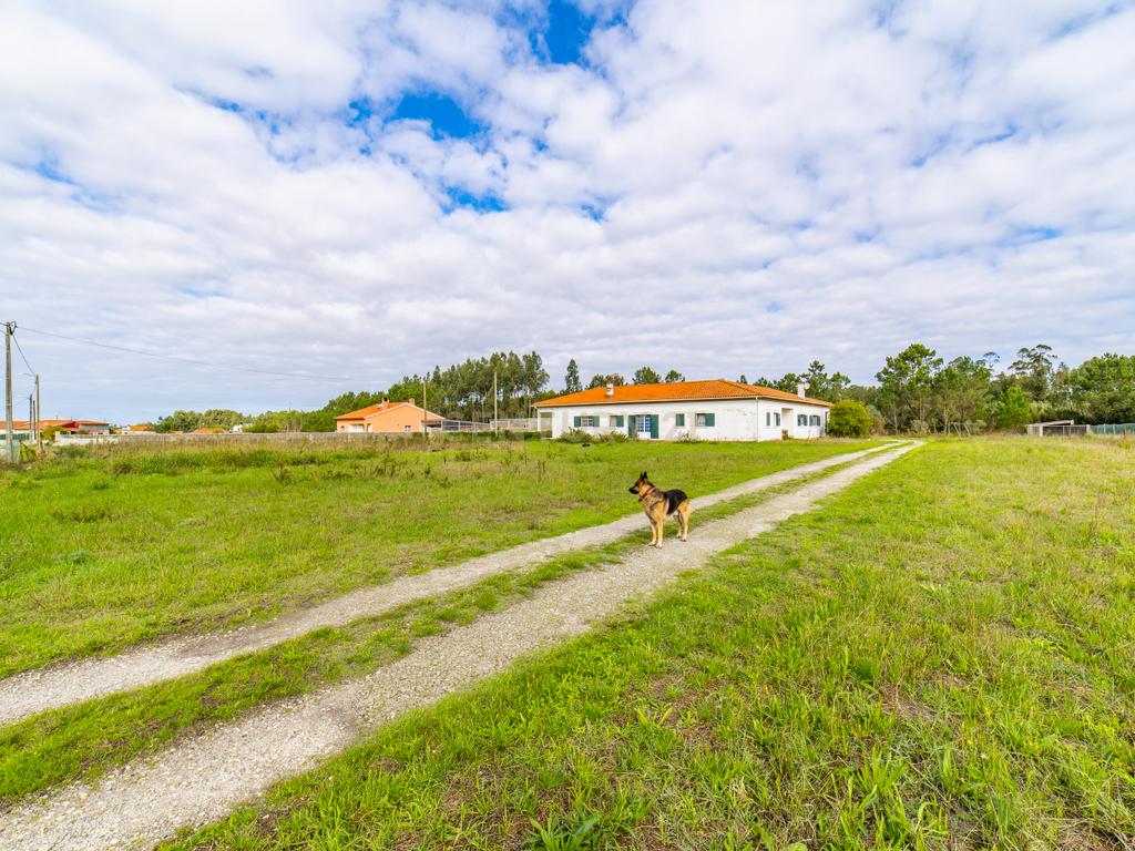Moradia T3 para venda na vila da Tocha - Image 4