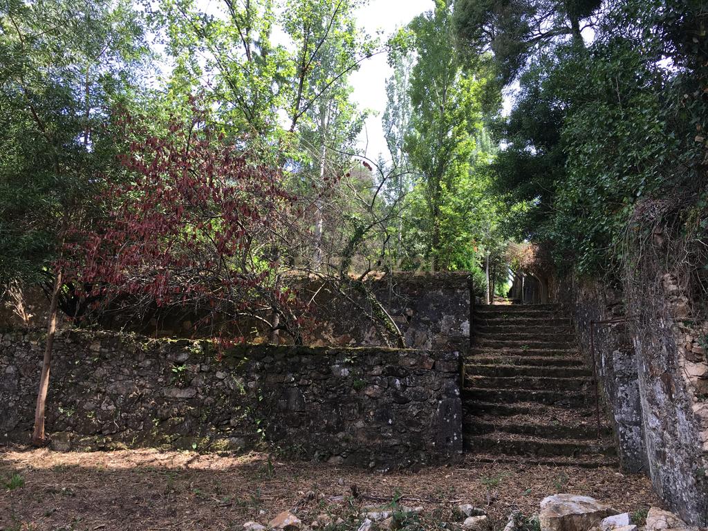Quinta Villa Progresso - T6+1 em Cucujães - Image 26