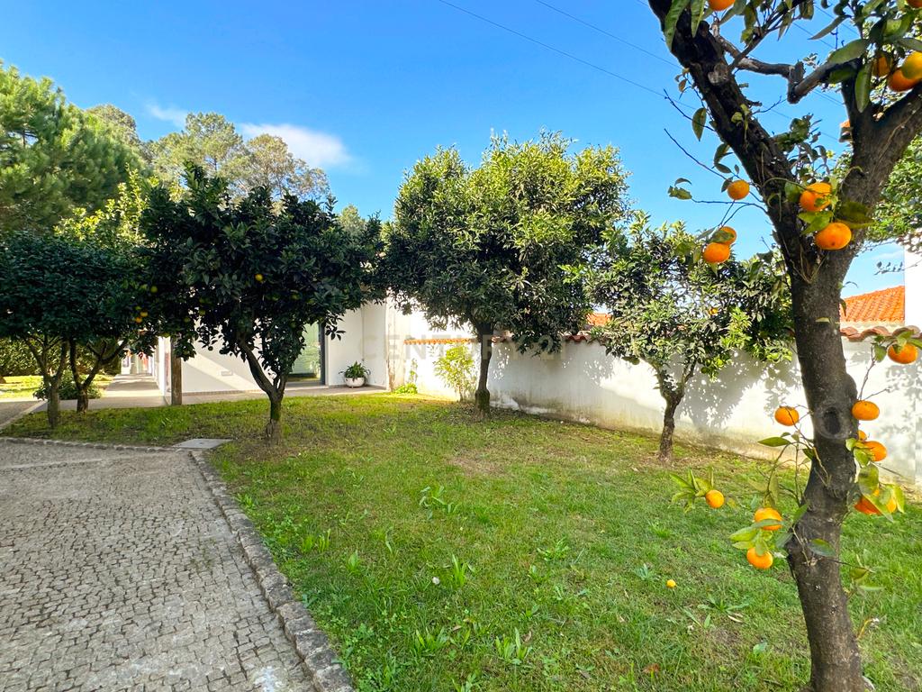 Moradia com Piscina e Jardim - Felgueiras - Image 49