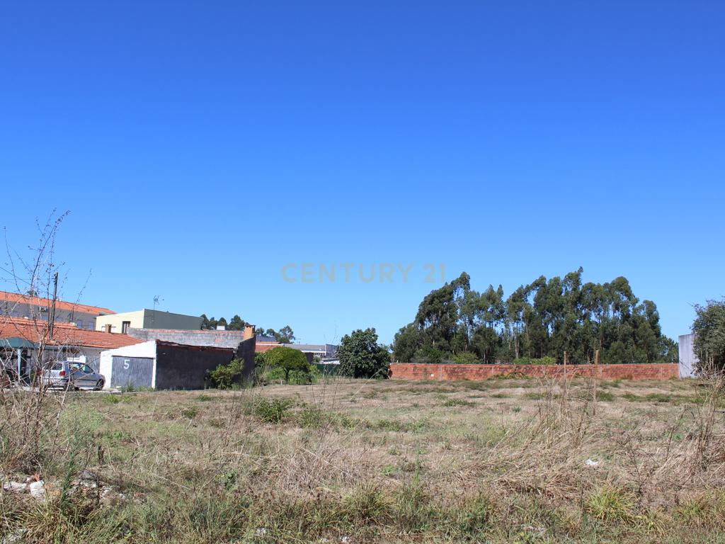 Terreno para construção em Marinha Grande - Image 9