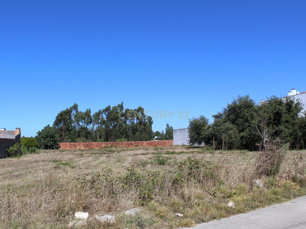 Terreno para construção em Marinha Grande - Image 8