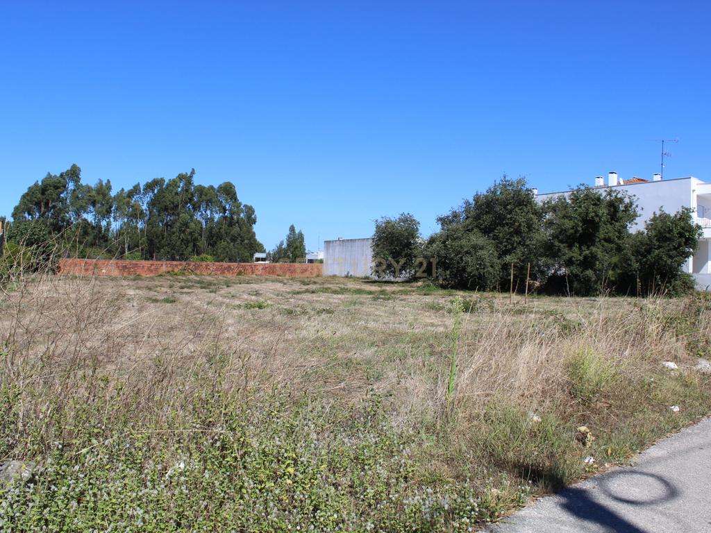 Terreno para construção em Marinha Grande - Image 6