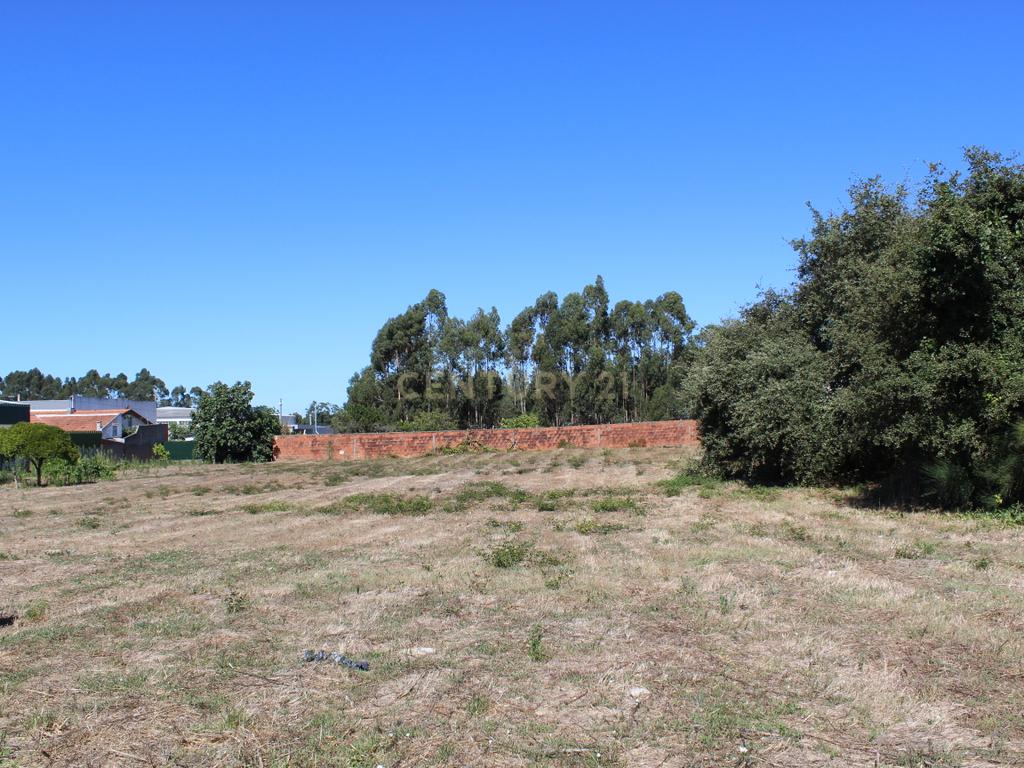Terreno para construção em Marinha Grande - Image 7