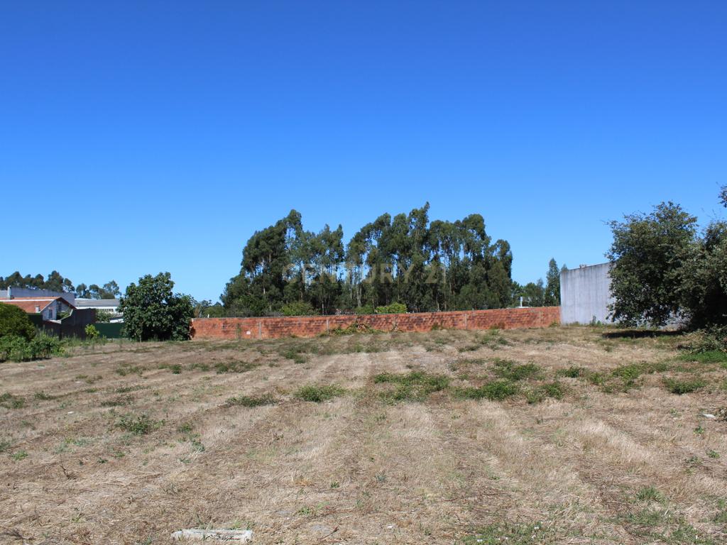Terreno para construção em Marinha Grande - Image 3