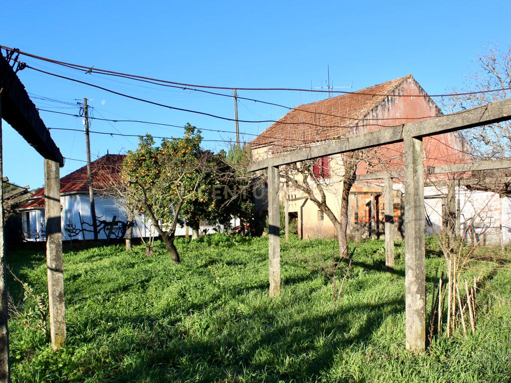 Moradia T3  / Terreno para construção - Image 30