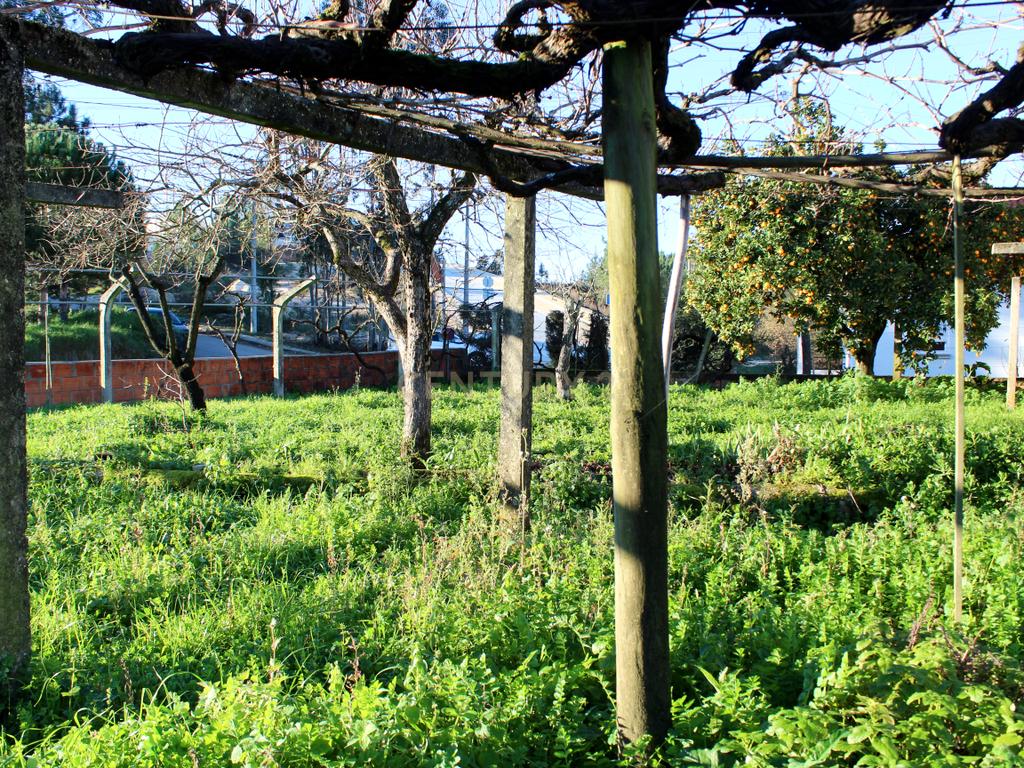 Moradia T3  / Terreno para construção - Image 27