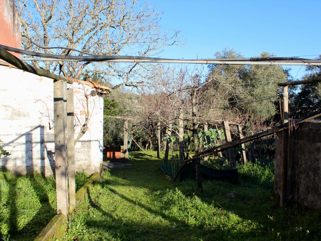 Moradia T3  / Terreno para construção - Image 28