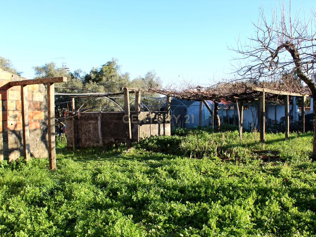 Moradia T3  / Terreno para construção - Image 29