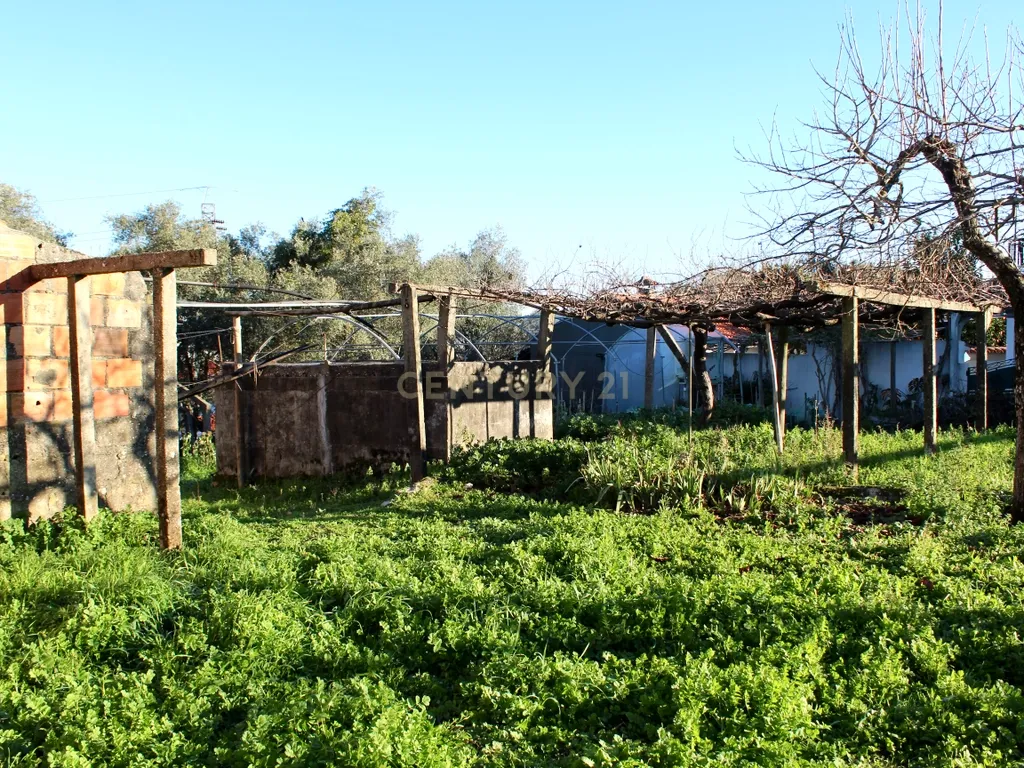 Moradia T3 / Terreno para construção - Image 29