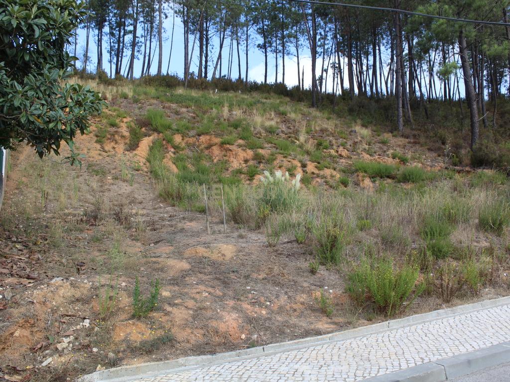 Lote com excelentes vistas em Pombal - Image 2
