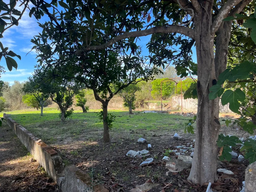 Terreno Misto em Expansão, com Grande Potencial Urbanístico, em Santarém - Image 12