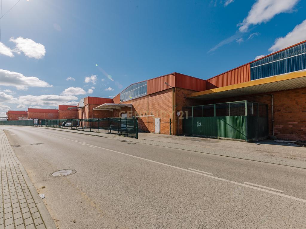 Armazém  no Porto Alto (Estrada Nacional 10) - Image 70