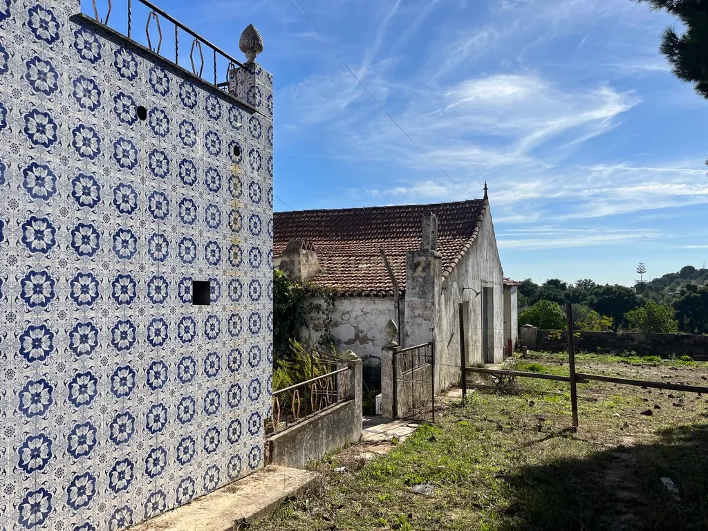 Terreno Misto em Expansão, com Grande Potencial Urbanístico, em Santarém - Image 14