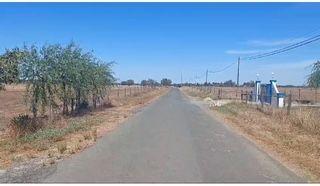 Monte Alentejano "Montinho dos Avós" Terreno Rustico 4750m2 com construção Modular - Image 15