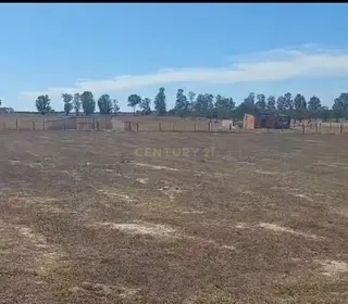 Monte Alentejano "Montinho dos Avós" Terreno Rustico 4750m2 com construção Modular - Image 17
