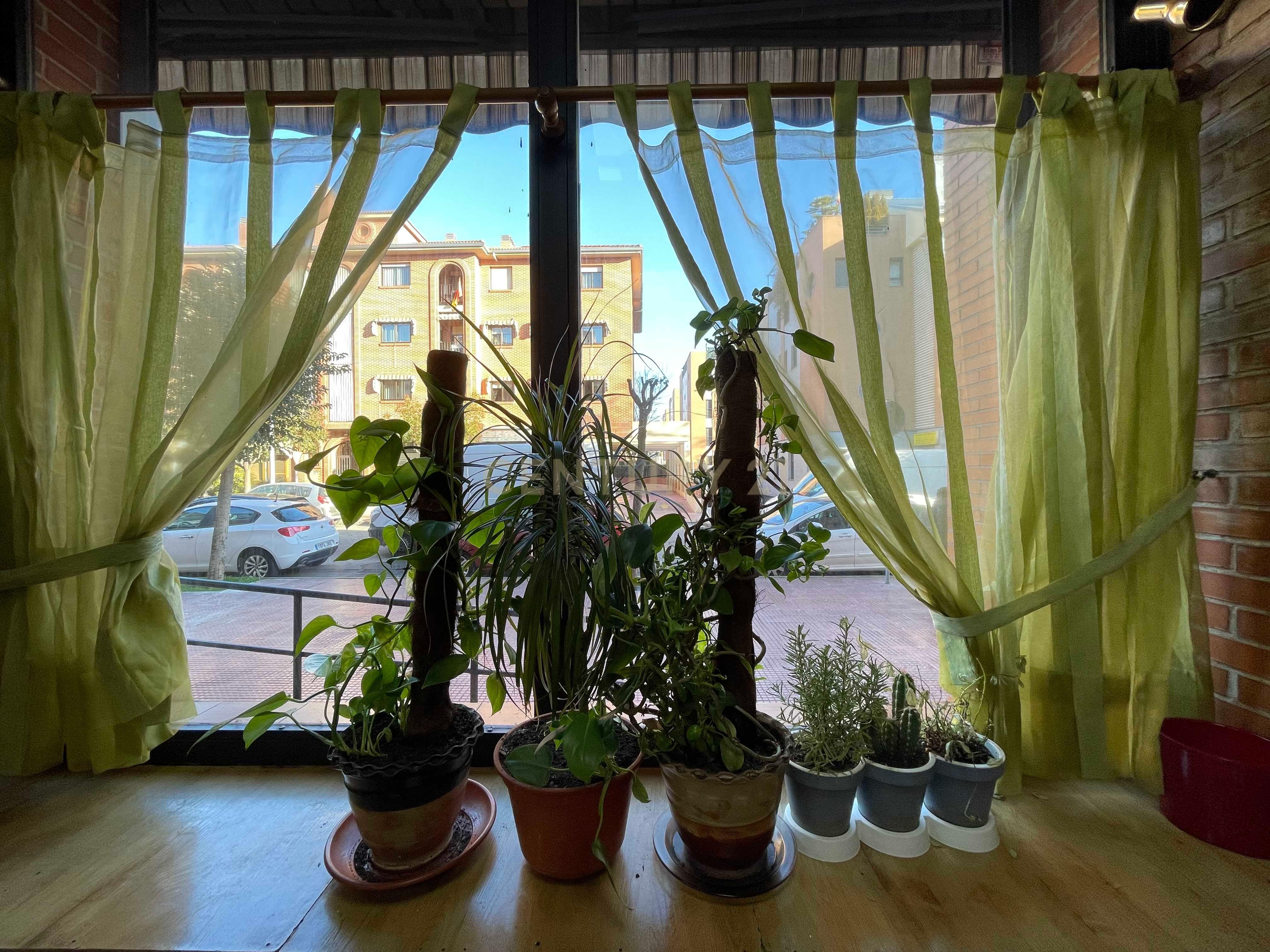 undefined - Image 4