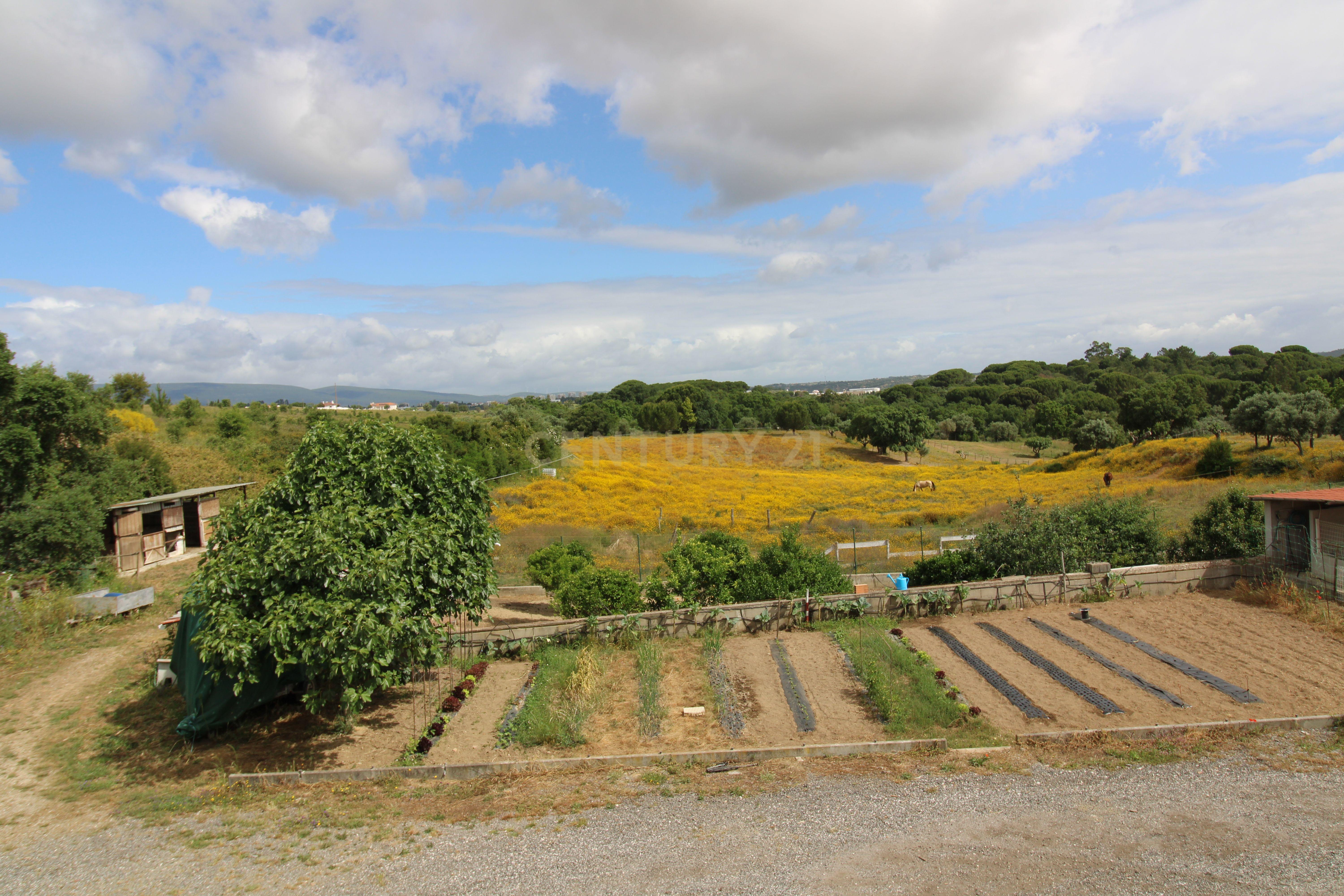 Moradia em Torres Novas - Image 11