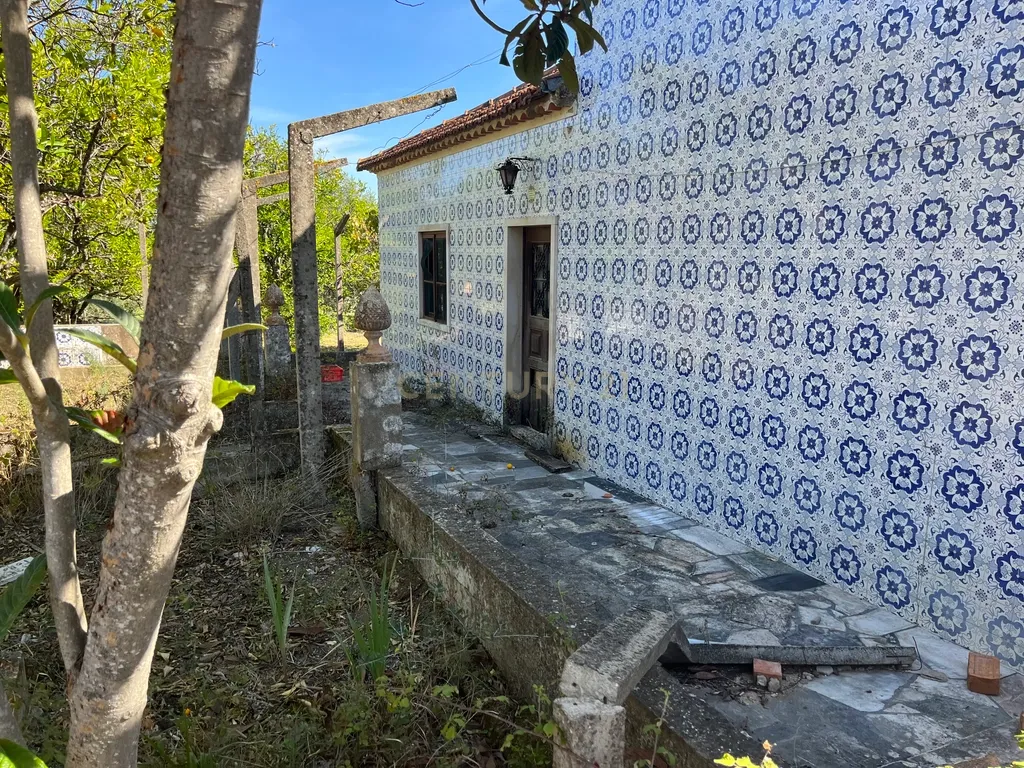 Terreno Misto em Expansão, com Grande Potencial Urbanístico, em Santarém - Image 13